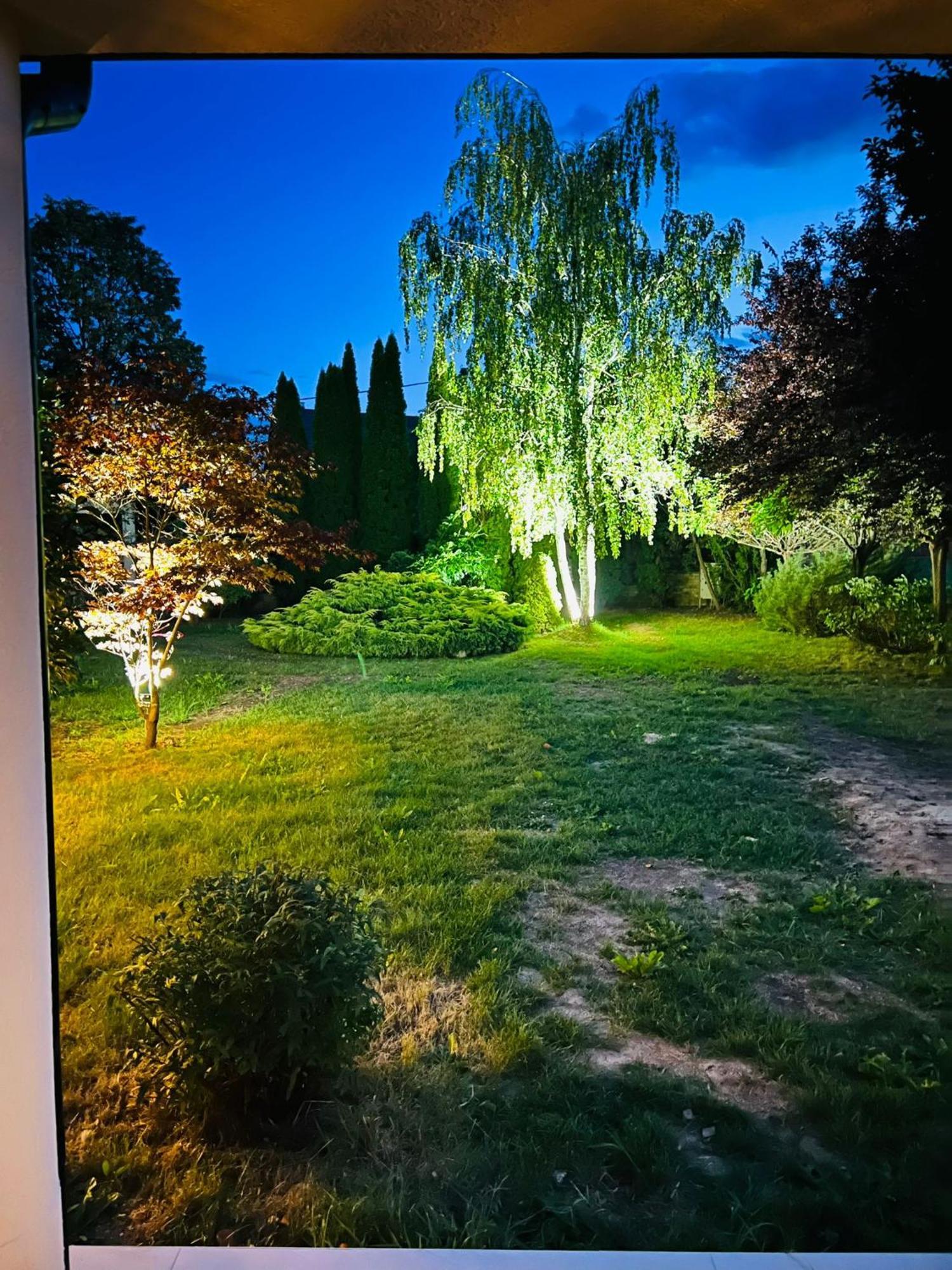 Villa Evie'S Tree House Dragomirna Exterior foto